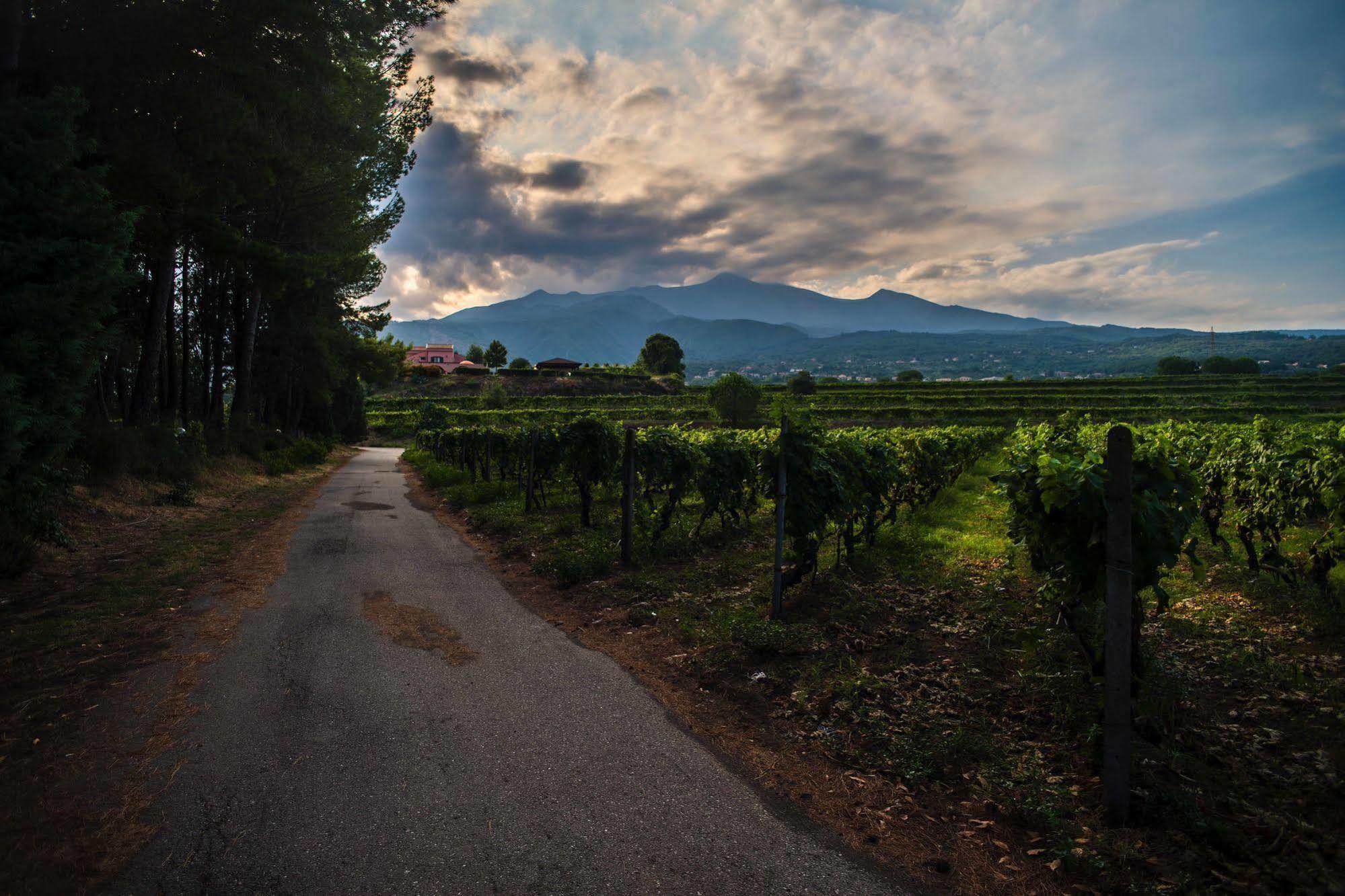 Agriturismo Tenuta San Michele Santa Venerina Luaran gambar