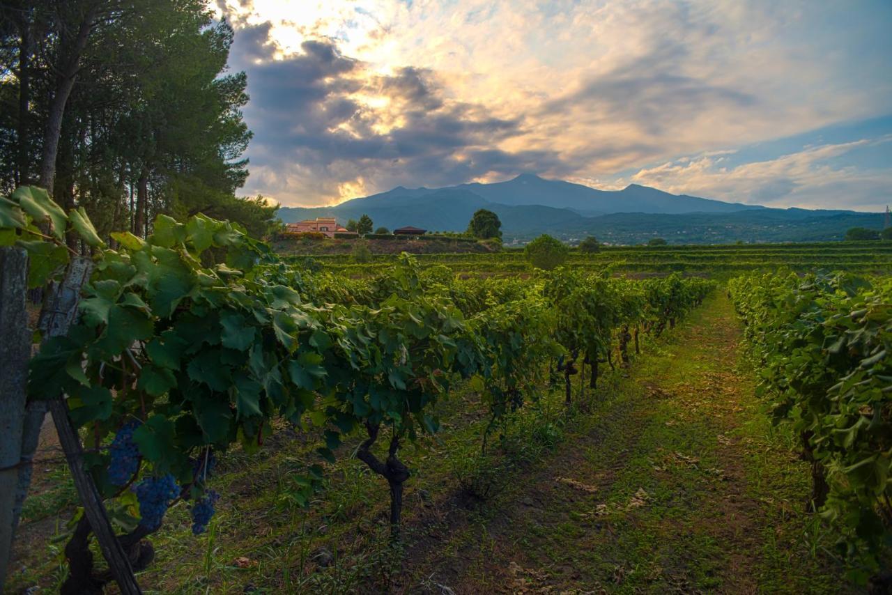 Agriturismo Tenuta San Michele Santa Venerina Luaran gambar