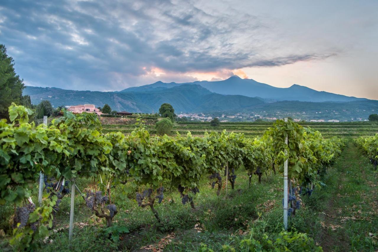 Agriturismo Tenuta San Michele Santa Venerina Luaran gambar